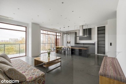 Przestronny apartament z widokiem na Park Dygata