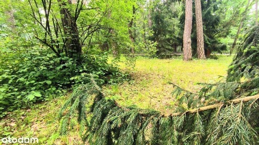 Dom w sercu Podkowy Leśnej z Pięknym Ogrodem.