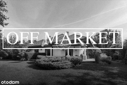 Top lokalizacja - Leśna Polana