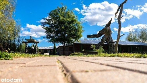 Malowniczo, tajemniczo i ciekawie