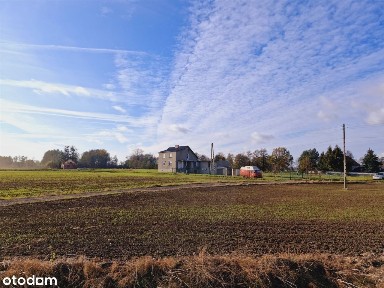 ul. Żabnik, Dębowa, Reńska Wieś, kędzierzyńsko-kozielski, opolskie