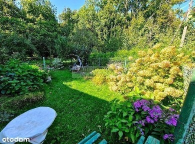 Przerzeczyn-Zdrój, Niemcza, dzierżoniowski, dolnośląskie