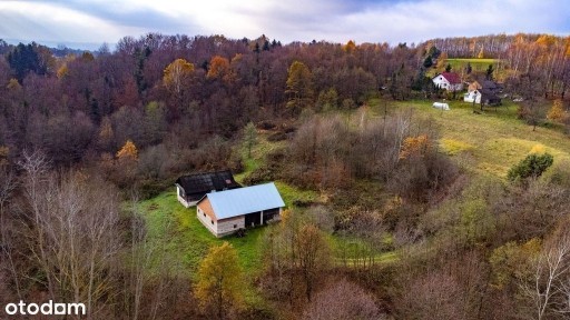 Działka 6442 m2 blisko lasu + 2 budynki - Borówki