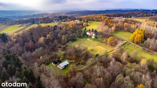 Działka 6442 m2 blisko lasu + 2 budynki - Borówki