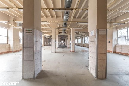 Oborniki Śląskie, trzebnicki, dolnośląskie