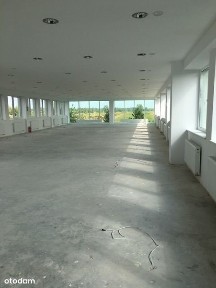 Powierzchnia biurowo-wystawienniczo-handlowa