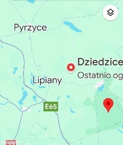 Dom, 100 m², Dziedzice