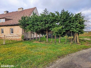 Sprzedaż parter bliźniaka Brzezina Sułowska Osada