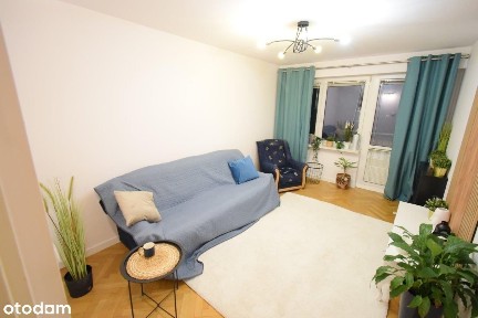 38 m2 Piasta 1 piętro do wprowadzenia