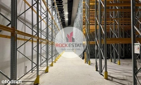 Mroźnia z regałami na wynajem lub sprzedaż 9tys m2