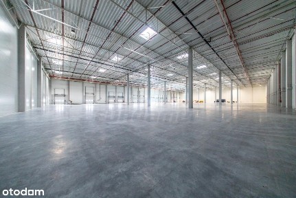 Nowy magazyn + biuro 800-3.900mkw S7