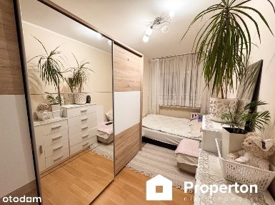 Mieszkania w samym sercu Świebodzina