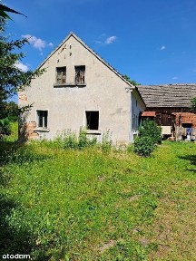 dom ze stawem i olbrzymia działka