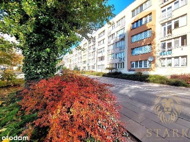 Słoneczne 2 pokoje Szczecin Niebuszewo