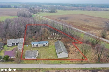 Siedlisko 0,5 ha na Suwalszczyźnie, Nieszki : )