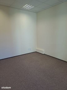 rynek Rynek, Dzierżoniów, dzierżoniowski, dolnośląskie