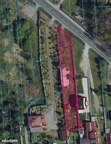 Dom, 116 m², Teodory