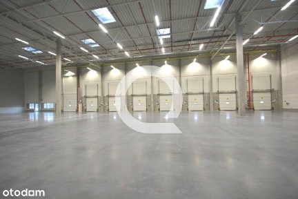 Stogi, Gdańsk, pomorskie