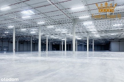Hala magazynowa klasy A 1636m2 - Targówek droga S8 - na wynajem
