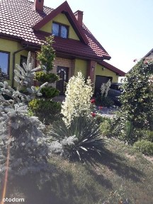 Dom +budynek gospodarczy