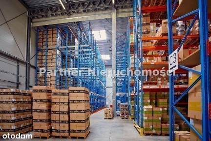 Lubicz Dolny, Lubicz, toruński, kujawsko-pomorskie