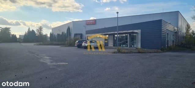 Przestrzeń z biurami oraz salą sprzedażową