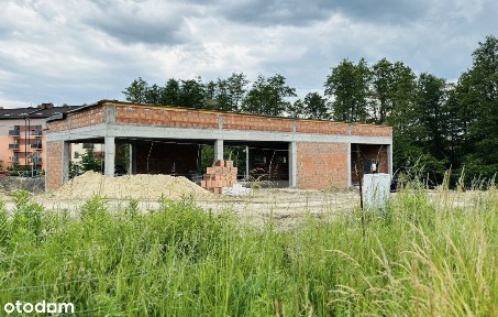 ul. Sosnowa, Zastaw, Rybnik, śląskie