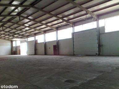 Wynajmę halę 918 m² na działce 6082 m² za darmo przez pół roku
