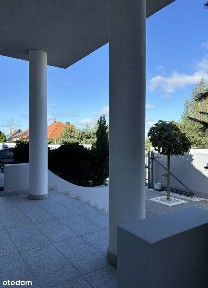 Cisew, Turek, turecki, wielkopolskie