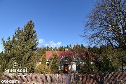 Urokliwe siedlisko, własny las- woj.lubelskie