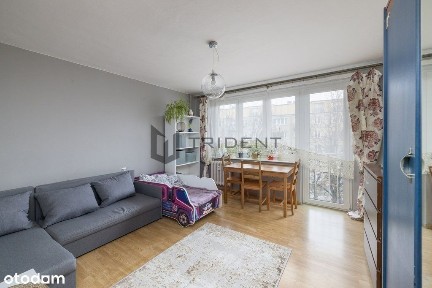 Piaseczno, piaseczyński, mazowieckie