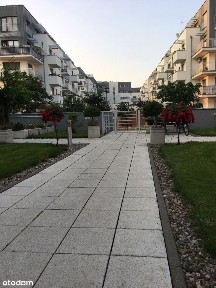 Mieszkanie na wynajem 74 mkw osiedle platan