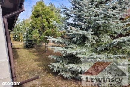 Dom, 121 m², Goreń Duży