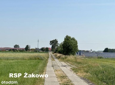 Tartak i grunty rolne. Wielkopolska