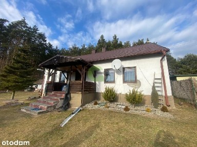 Dom w pobliżu rzeki i lasów