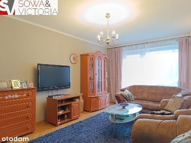 Świebodzice, świdnicki, dolnośląskie