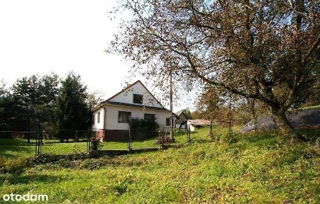 Dom do remontu na dużej działce