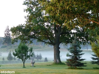 Siedlisko na Mazurach ze stawem i lasem - 20 ha