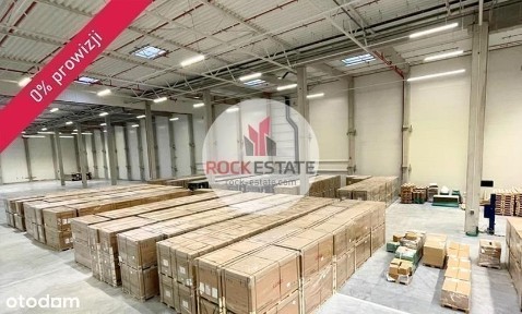 Magazyn 2tyś od zaraz Gdańsk Port - 0% prowizji