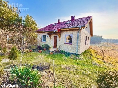 Bierzwnik, mały domek z dużą działką blisko lasu