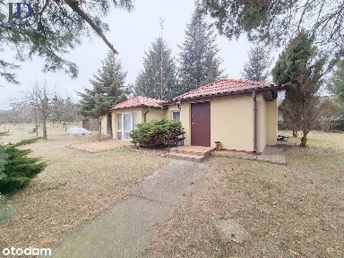 Dom w otulinie sosen i świerków, z uroczą działką