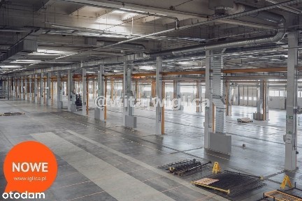 Duża powierzchnia, magazyn, produkcja, Wrocław