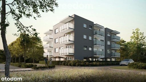 Mieszkanie w stanie deweloperskim, 2-pok, M19
