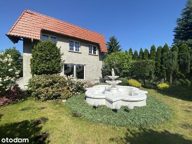 Ostrów Wielkopolski, ostrowski, wielkopolskie