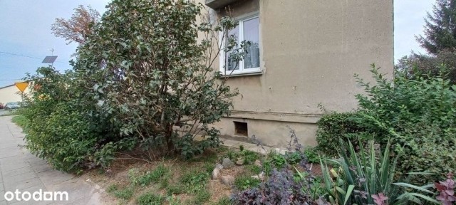 Mieszkanie w Żychlinie