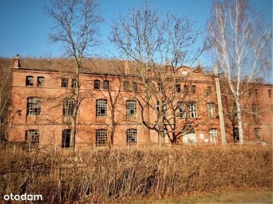 Budynek,duża działka, nieruchomość w Górach Sowich