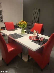 Słubice, słubicki, lubuskie