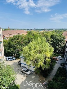 Śródmieście, Gorzów Wielkopolski, lubuskie