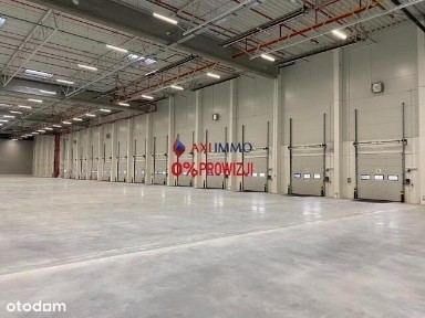 Magazyn 15 000 m2 do wynajęcia Nowa Sól przy A2