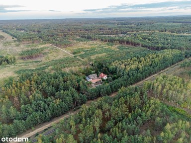 Wyjątkowe siedlisko w sercu lasu